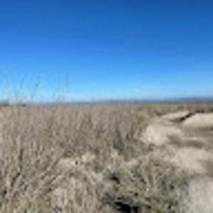 Meet your Posher, Nelson